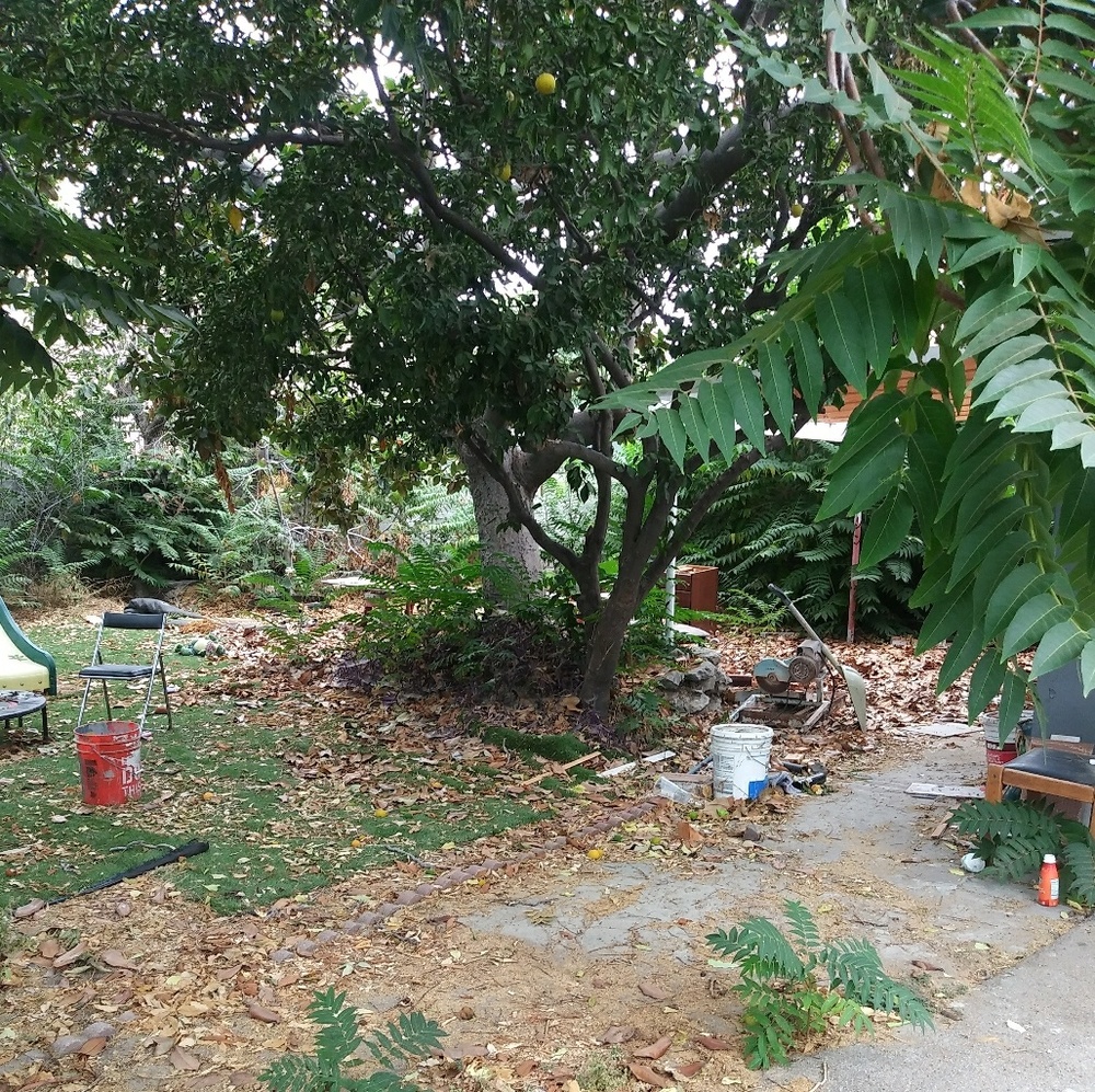 Recently lost our home